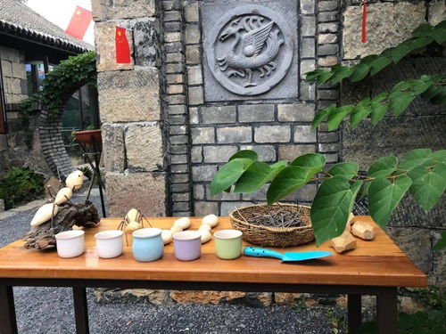 住精品民宿享休闲慢时光,民宿主题旅游活动受青睐