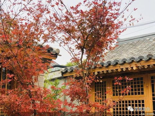 试水 基础租金 利润分成 模式,京能集团分布式民宿落子门头沟淤白村